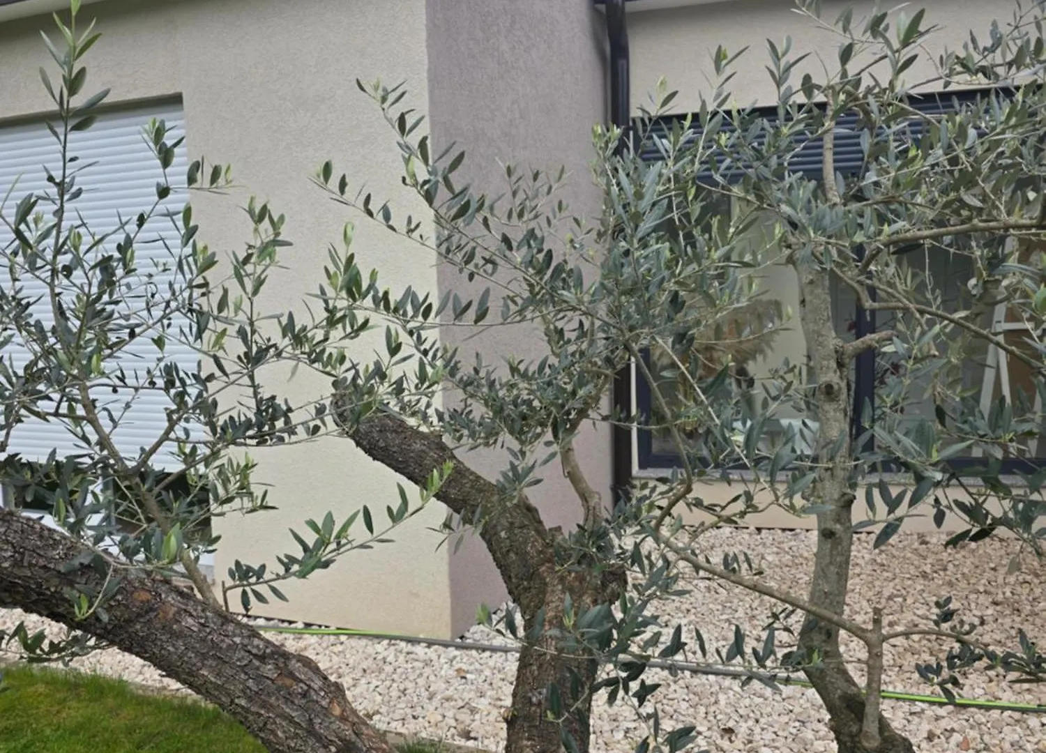 Villa Vila Green Silence Pazin Croazia